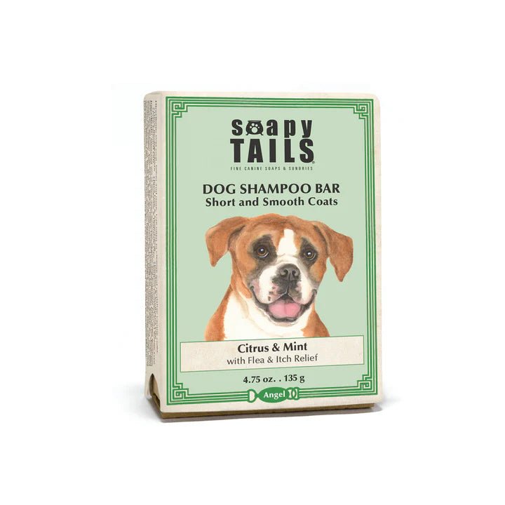 Angel – festes Bio - Shampoo für Hunde mit Kurzfell - Kaffeekontor Friedrichstadt
