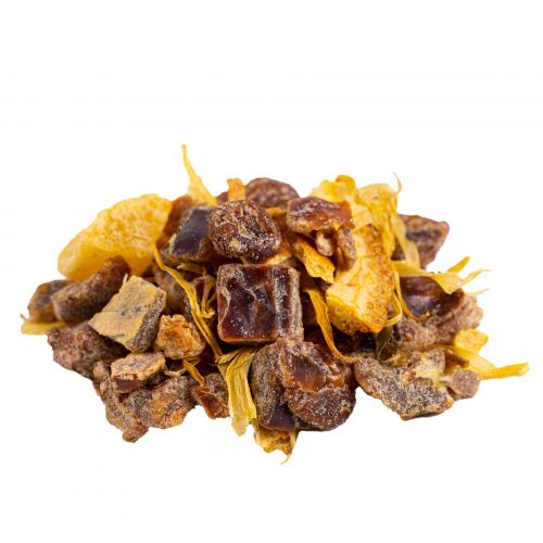 T - Rex - Kaffeekontor Friedrichstadt