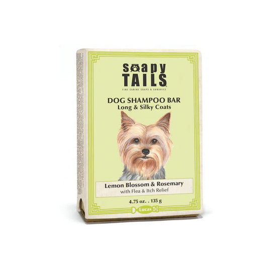 Lucas - festes Bio - Shampoo für Hunde mit Langhaar - Kaffeekontor Friedrichstadt